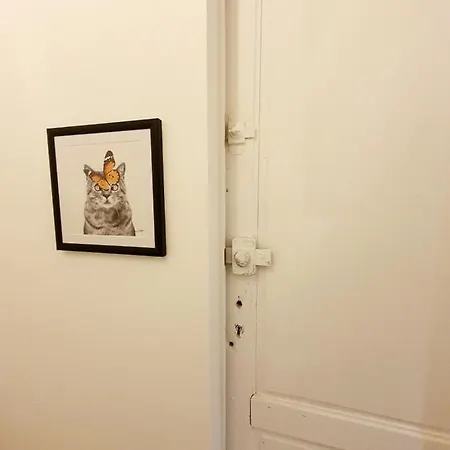 Superbe Appartement de 50m2 Graulhet Extérieur photo